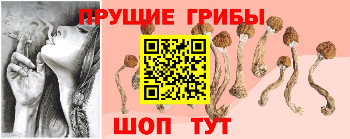 Галлюциногенные грибы Magic Shrooms  Вход с VPN  Изобильный 